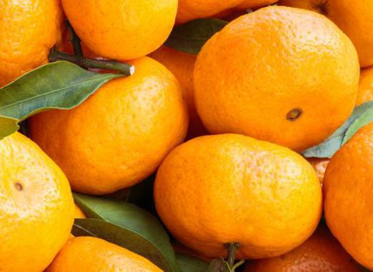 Ile kalorii jest w mandarynce?