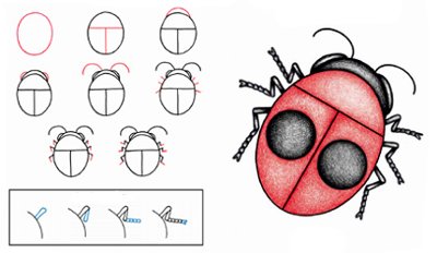 Jak narysować chrząszcza?